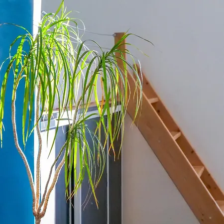 Cœur De Rénové - 2-4 Personnes