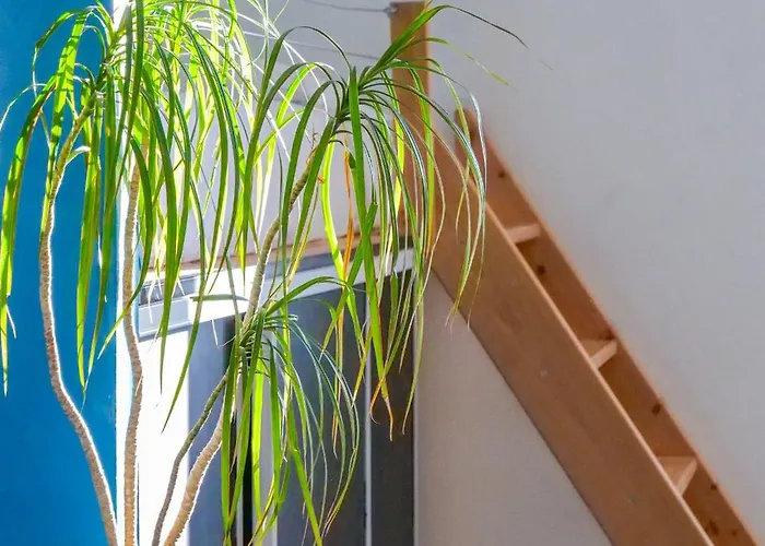 Cœur De Rénové - 2-4 Personnes